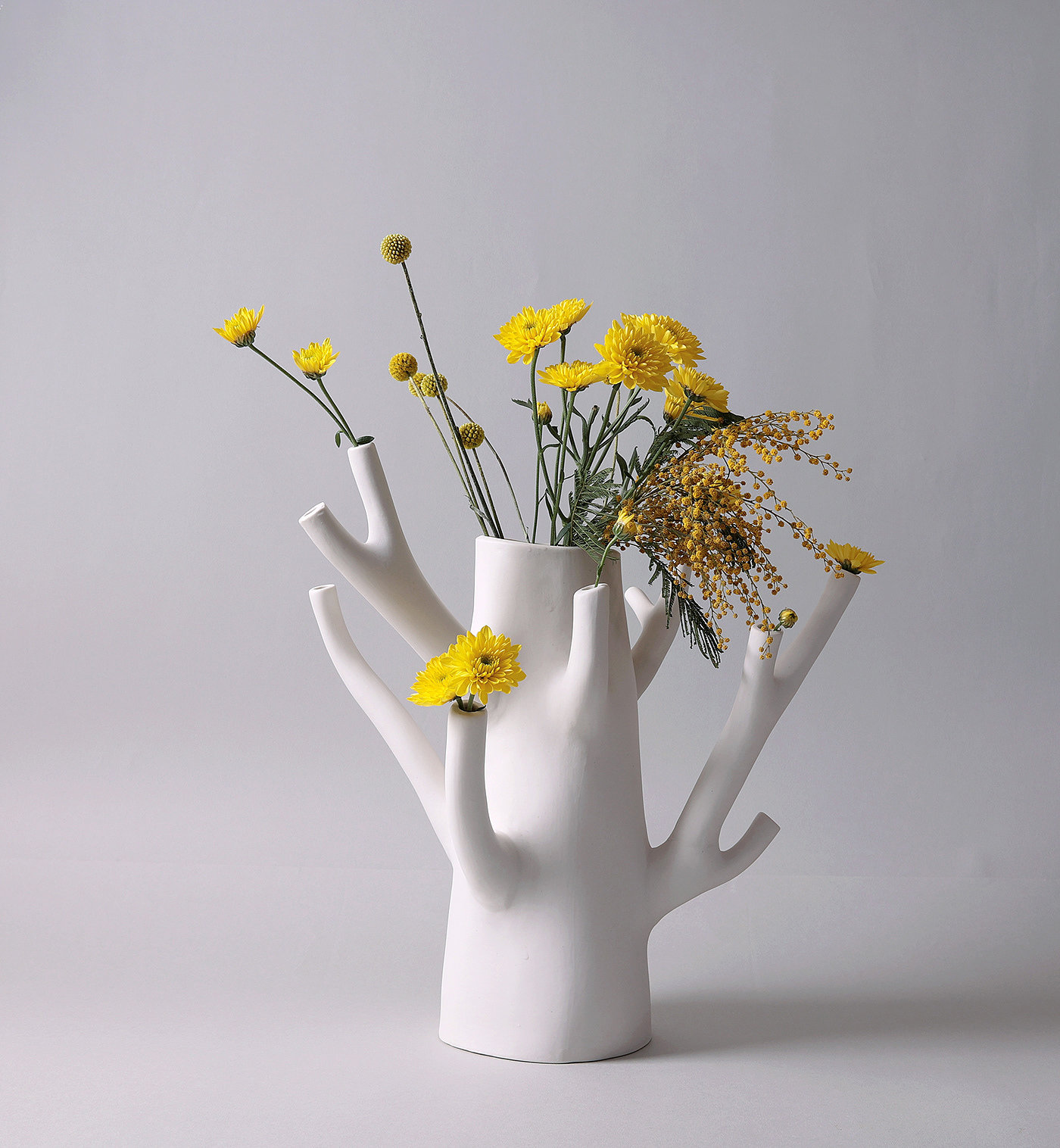 vase，Branch，flower，