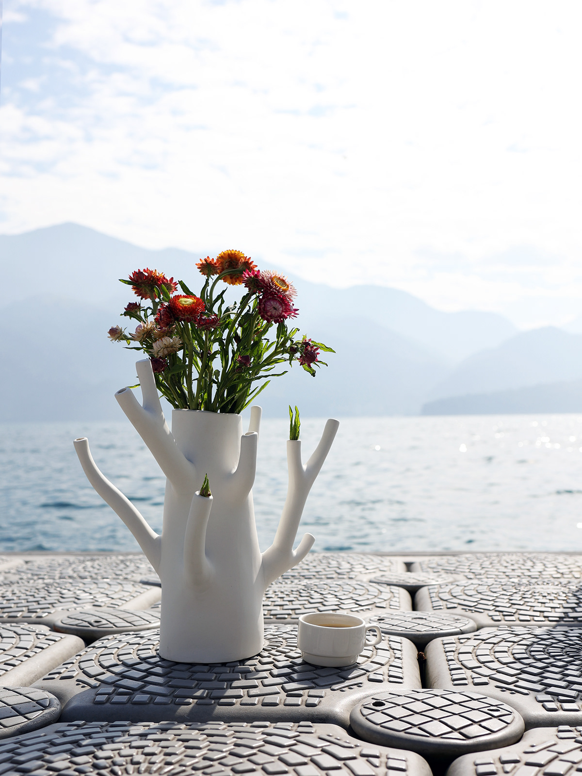 vase，Branch，flower，