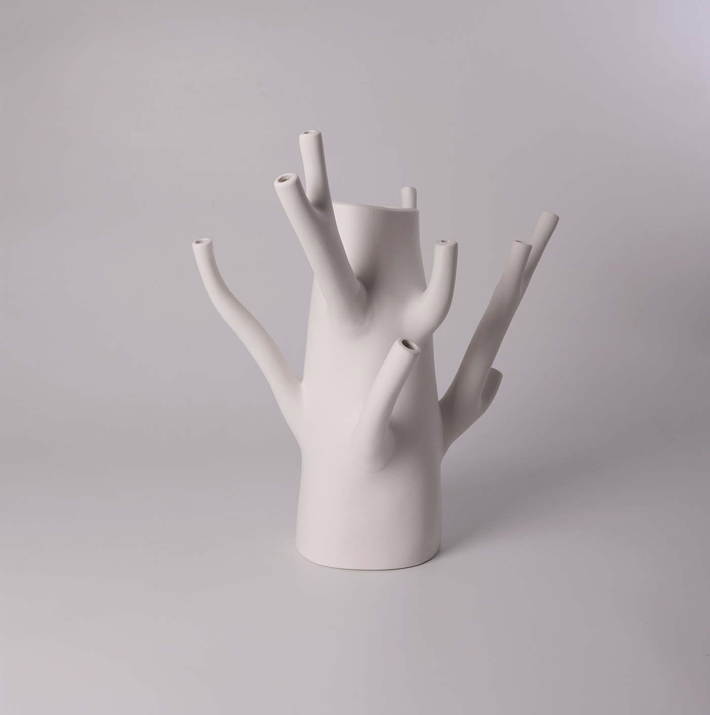 vase，Branch，flower，