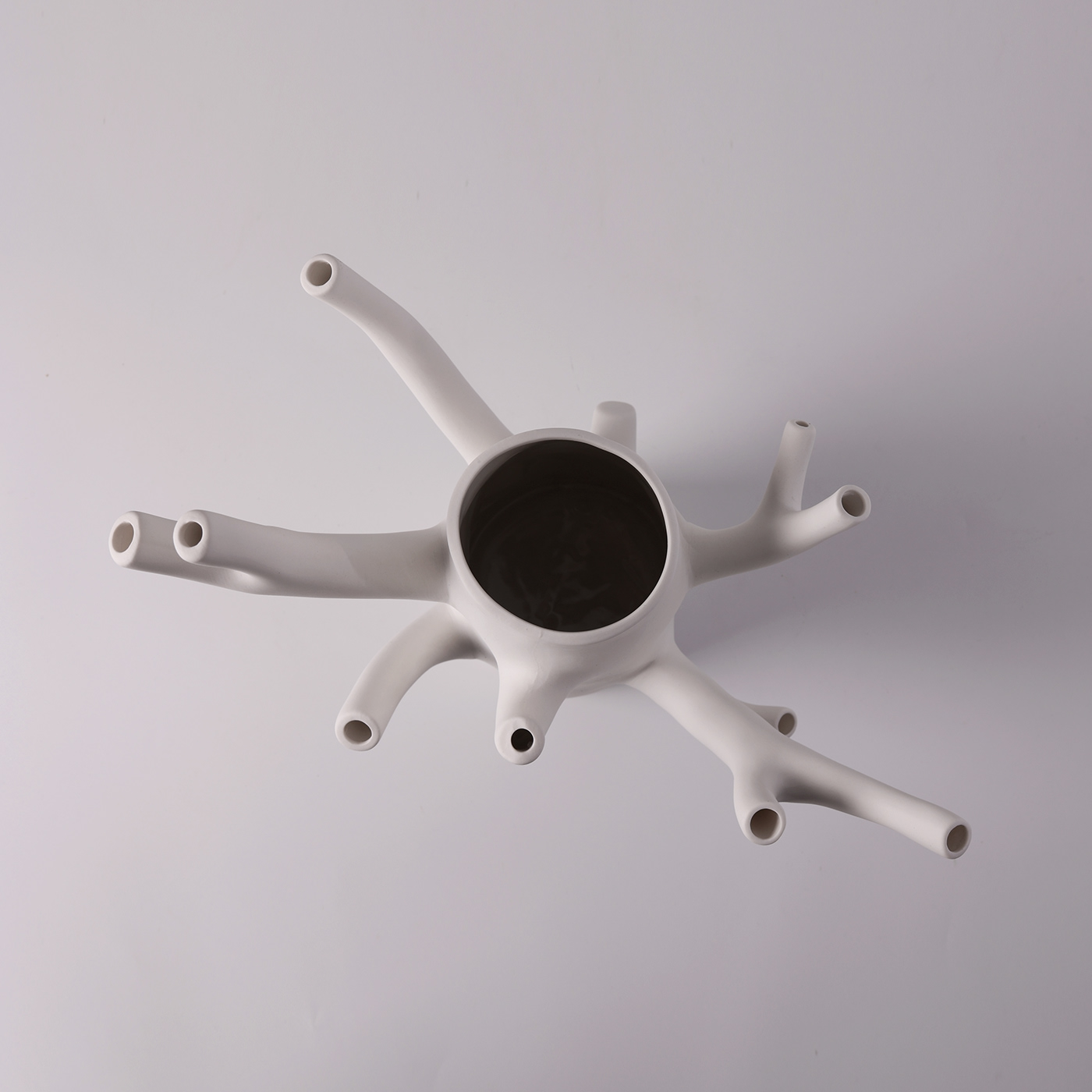 vase，Branch，flower，