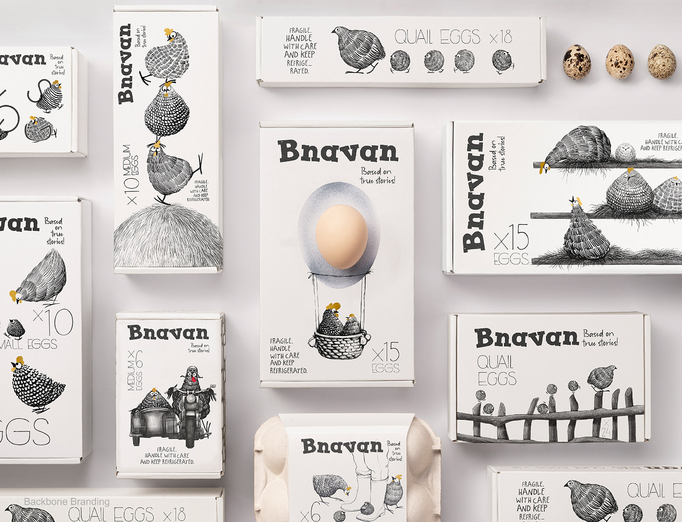 packing design，originality，Bnavan Eggs，graphic design ，