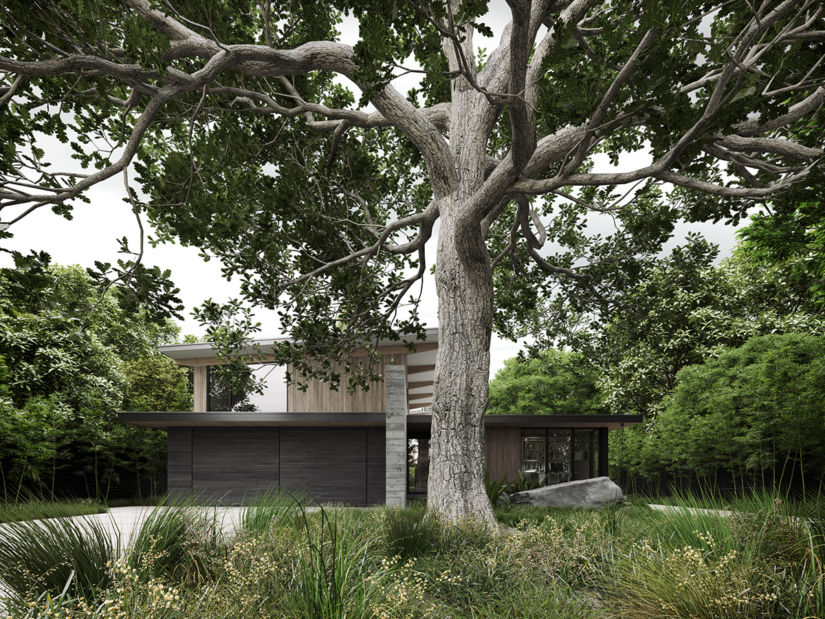 Architectural design，Scenery，green，