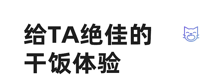 宠物，喂食器，猫，狗，动物，