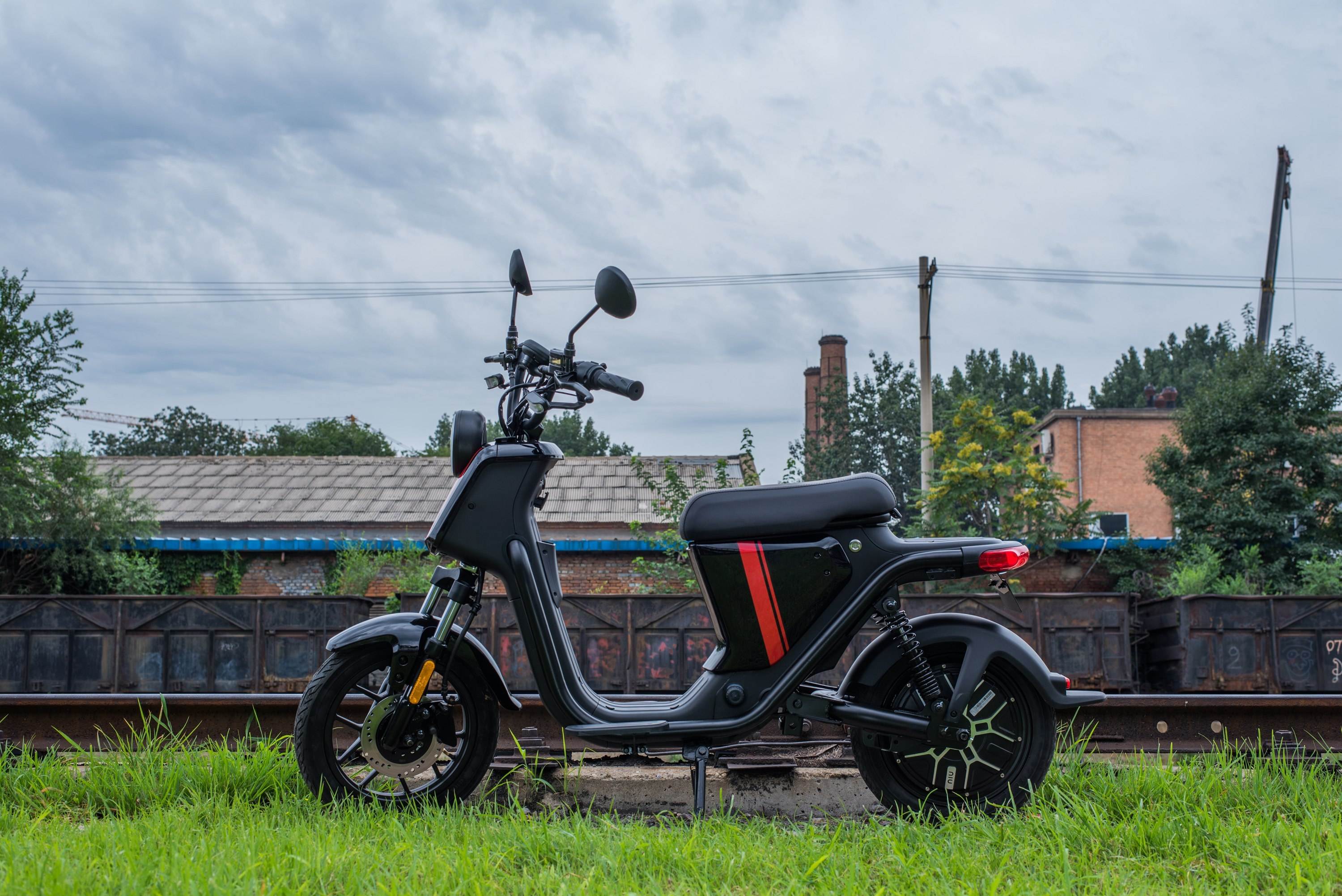 millet，Calf，award-winning work，two thousand and seventeen，Red Star Award，