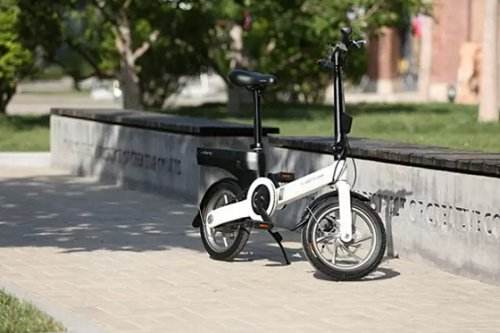 millet，Calf，award-winning work，two thousand and seventeen，Red Star Award，