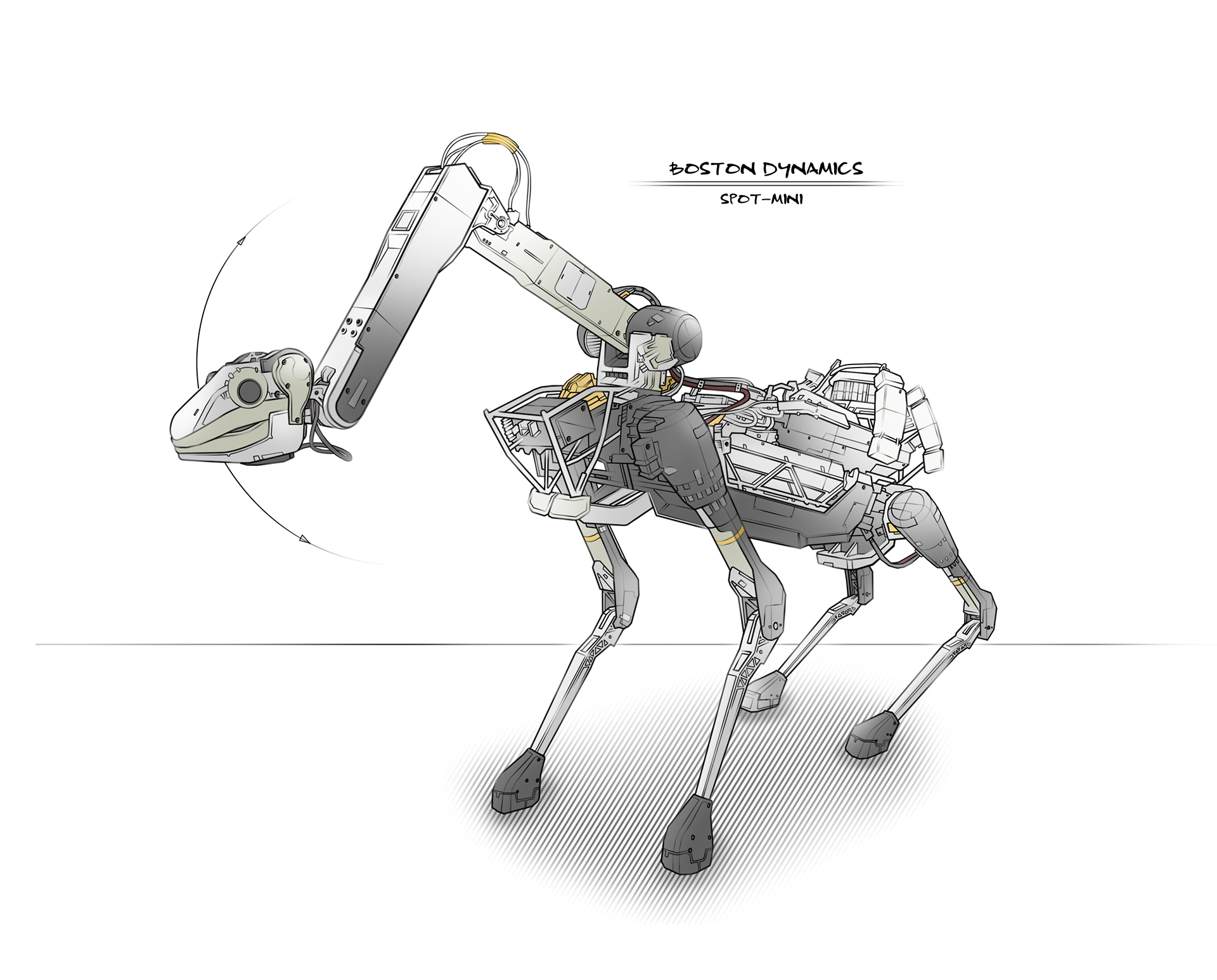 Hand drawn，draft，