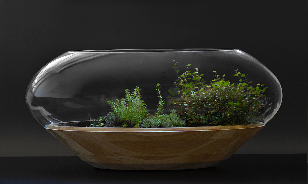 Flowerpot，Botany，manual，Glass，wood，