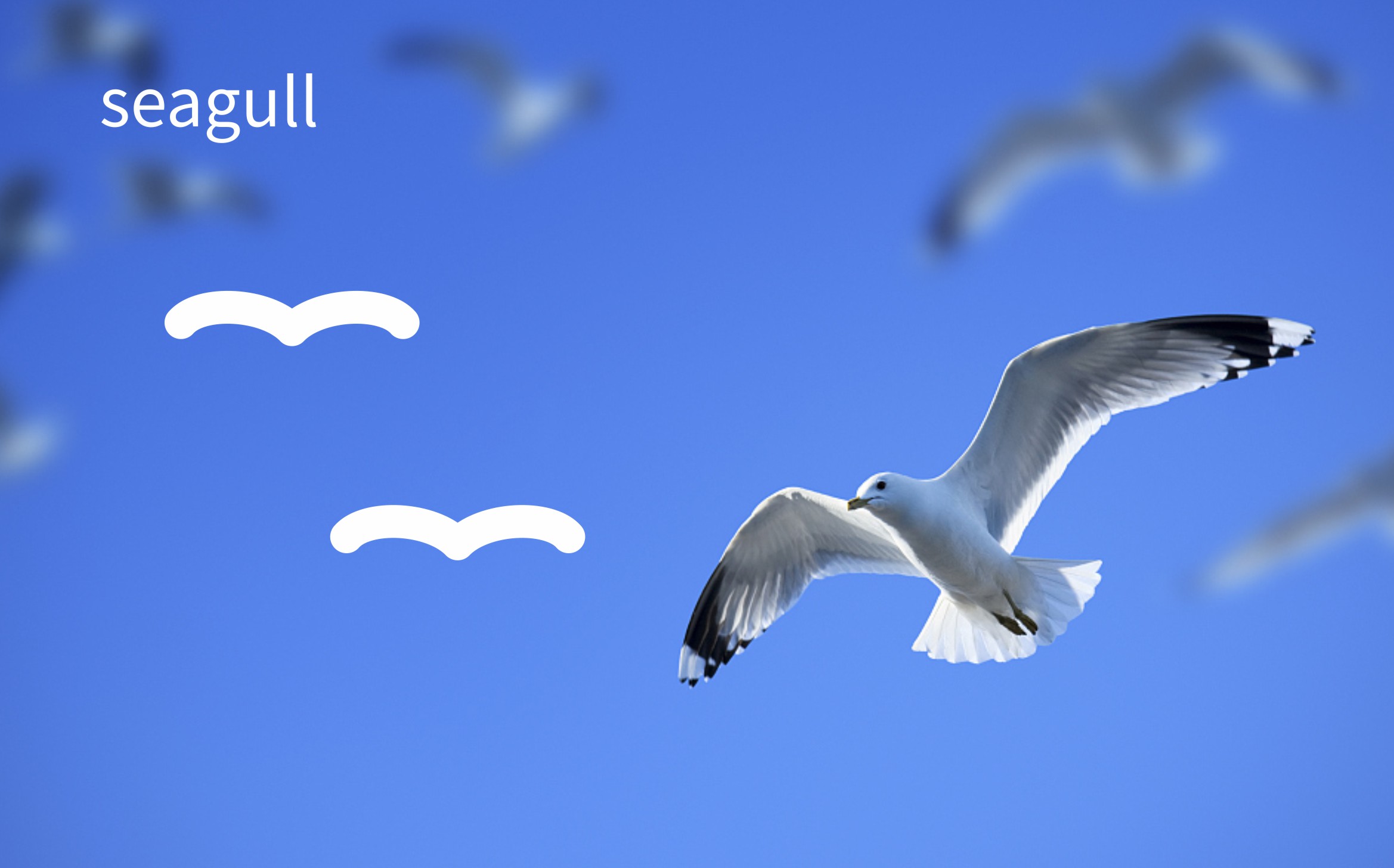 Agriculture，fresh ，logo，brand，