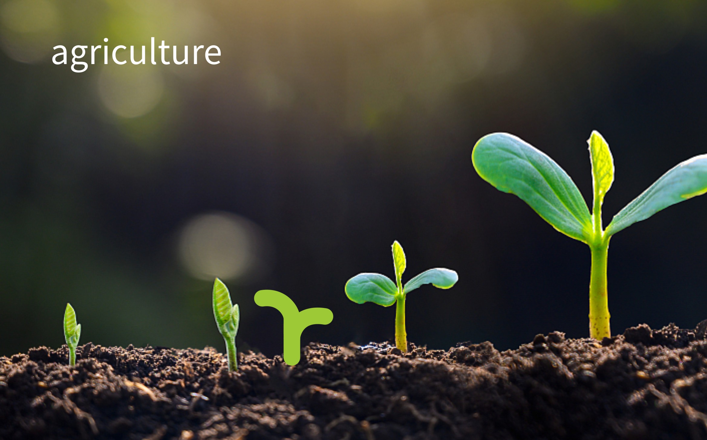 Agriculture，fresh ，logo，brand，