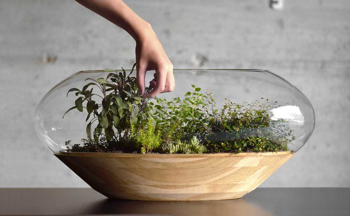 Flowerpot，Botany，manual，Glass，wood，