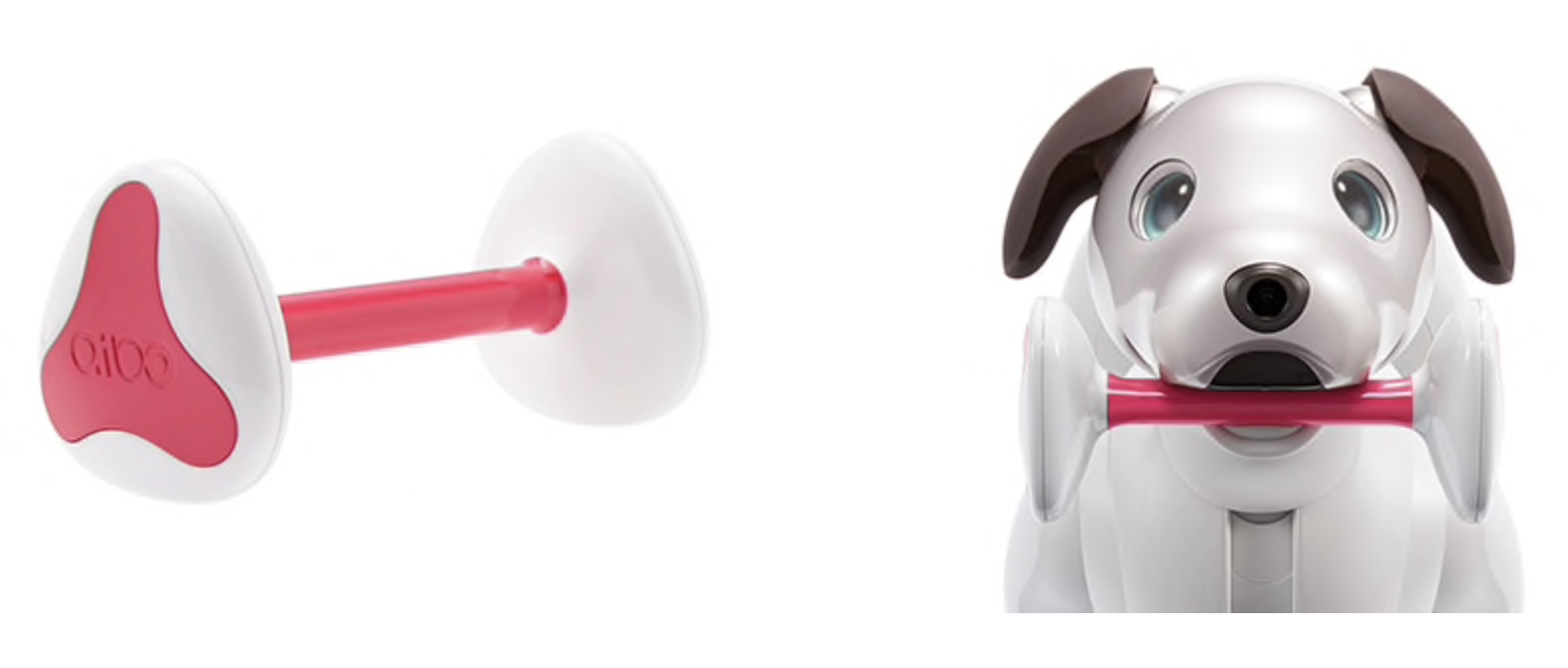 Sony，intelligence，Robot dog，Fisheye camera，