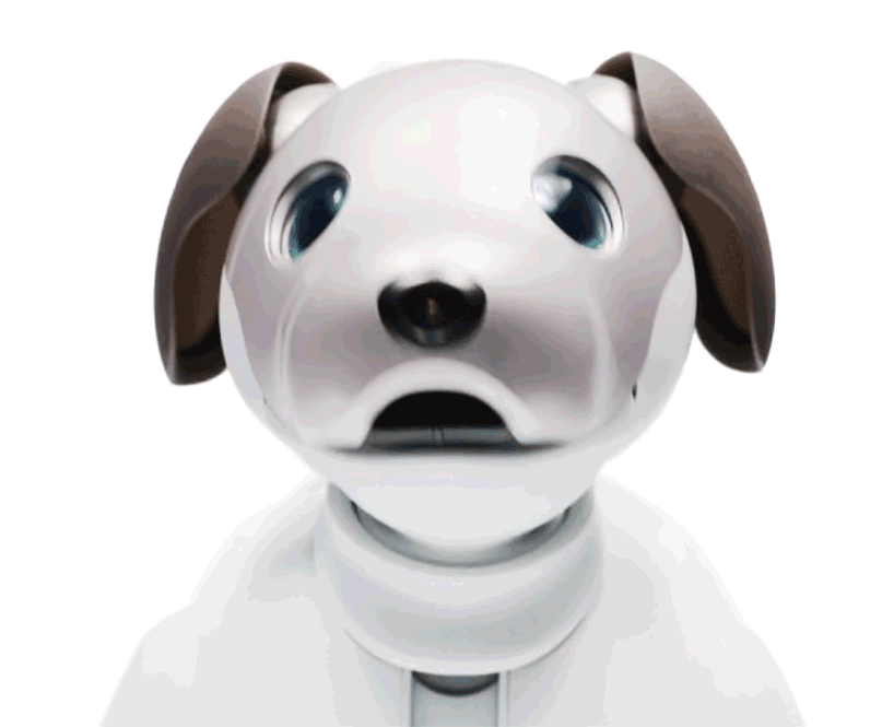 Sony，intelligence，Robot dog，Fisheye camera，
