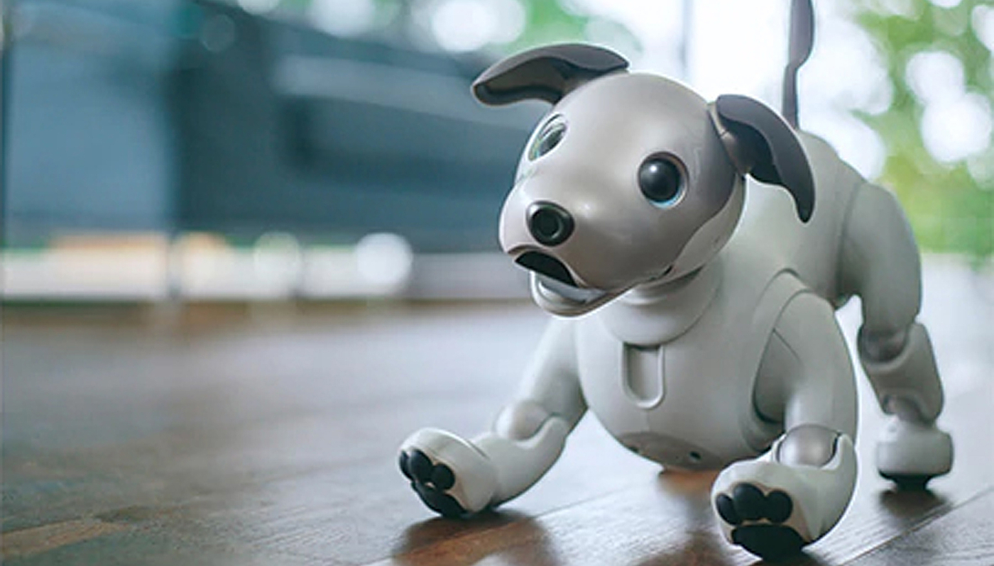 Sony，intelligence，Robot dog，Fisheye camera，