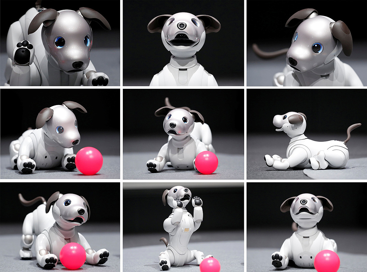 Sony，intelligence，Robot dog，Fisheye camera，