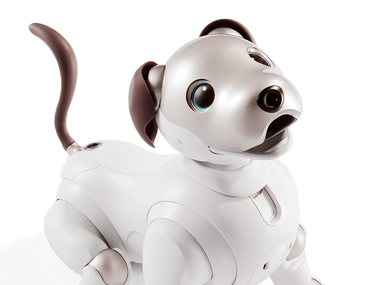 Sony，intelligence，Robot dog，Fisheye camera，