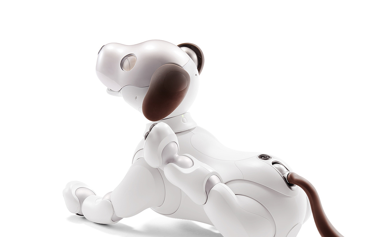 Sony，intelligence，Robot dog，Fisheye camera，