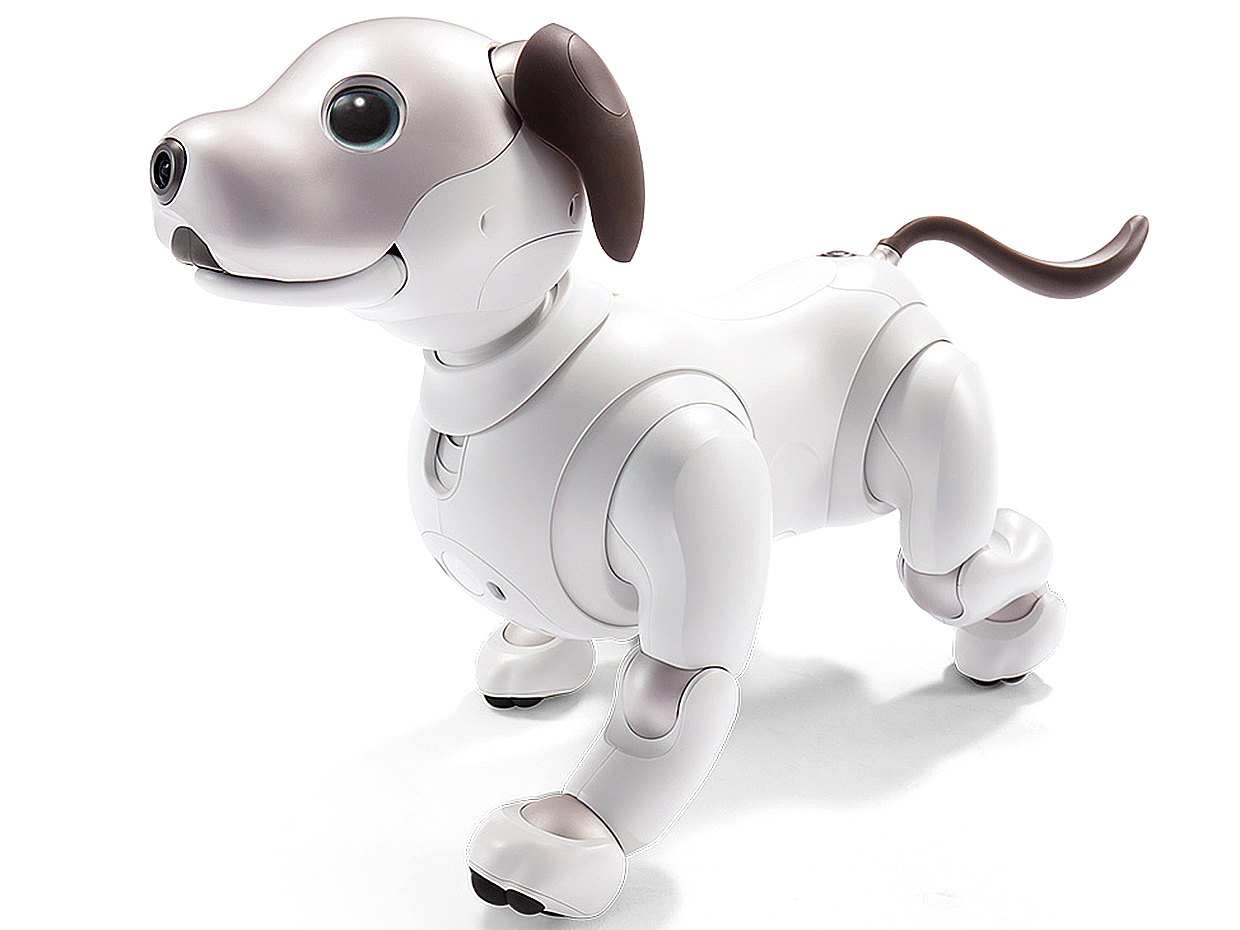 Sony，intelligence，Robot dog，Fisheye camera，