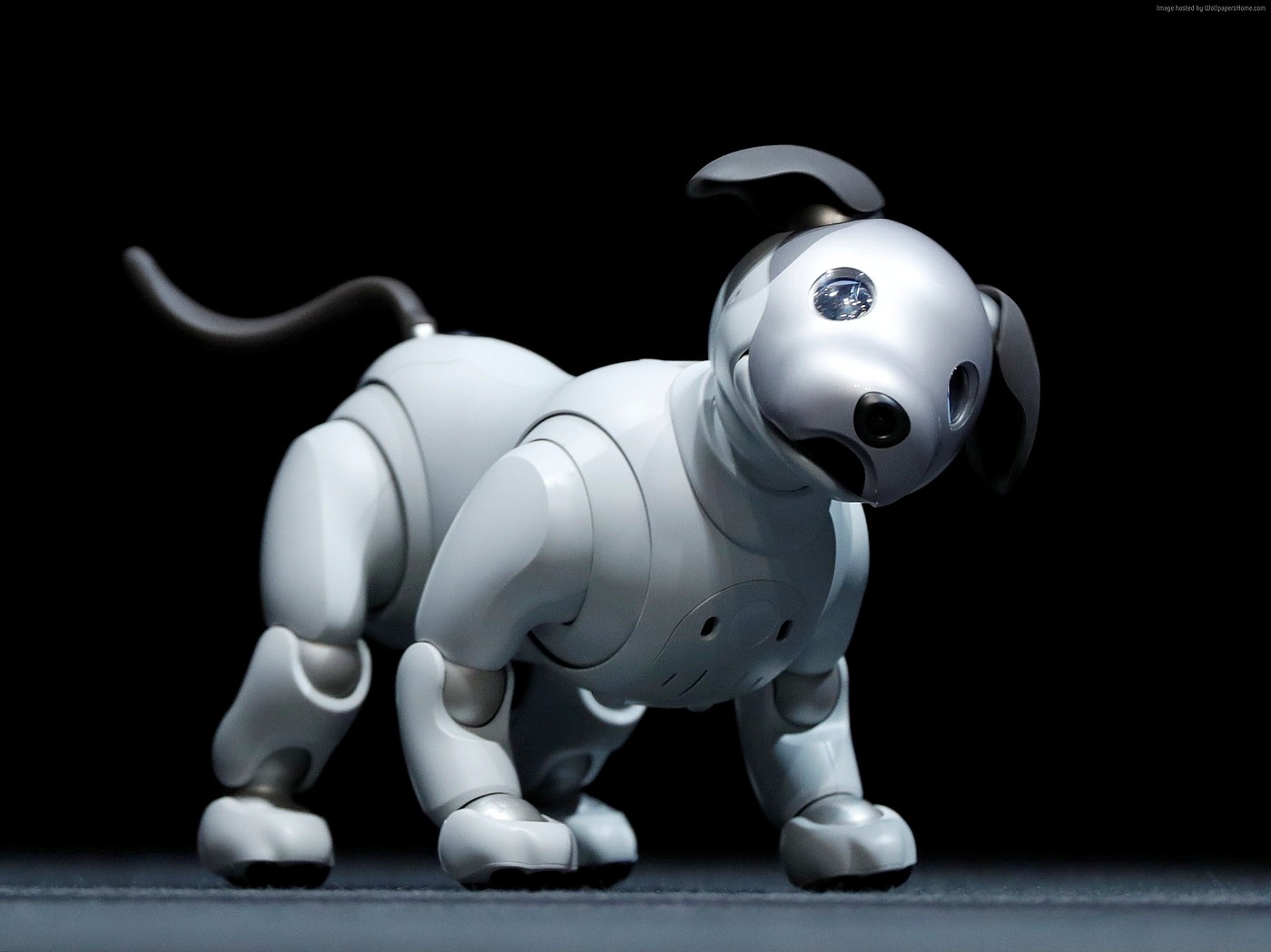Sony，intelligence，Robot dog，Fisheye camera，