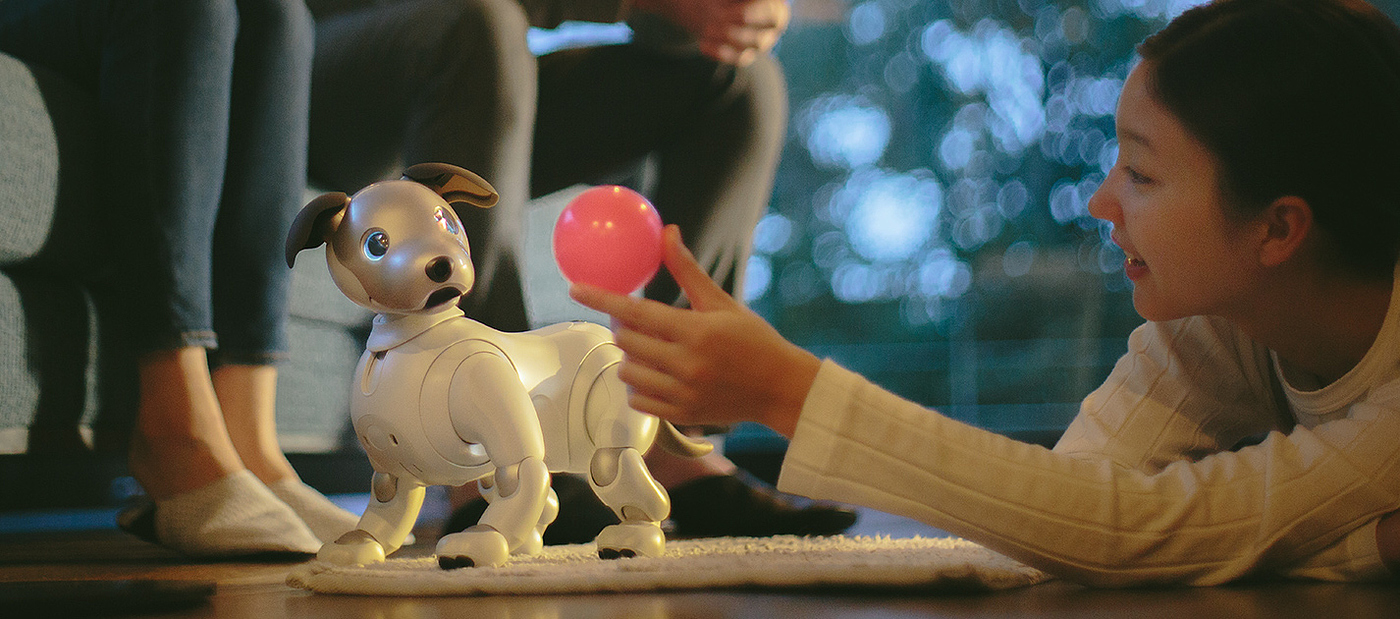 Sony，intelligence，Robot dog，Fisheye camera，