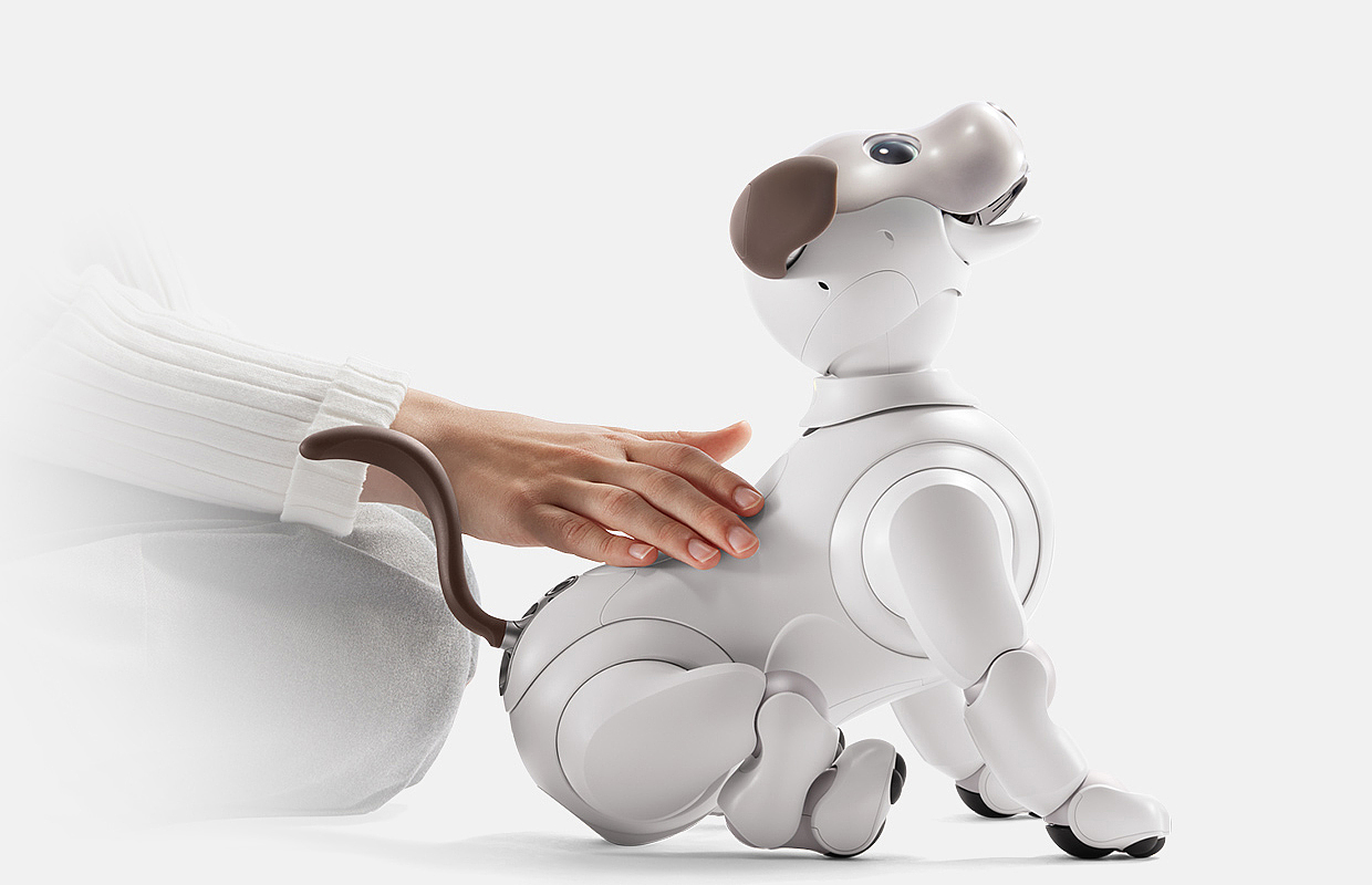 Sony，intelligence，Robot dog，Fisheye camera，