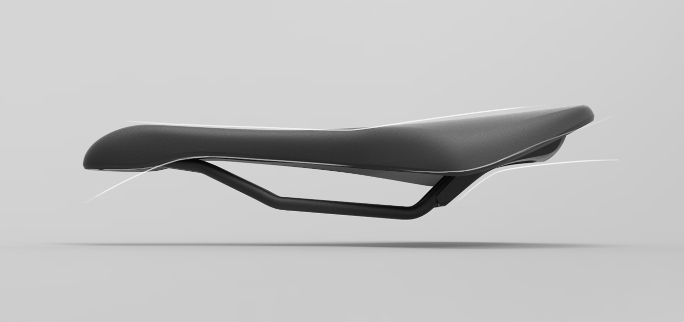 Fi'zi:k，Saddle，female sex，Italy，