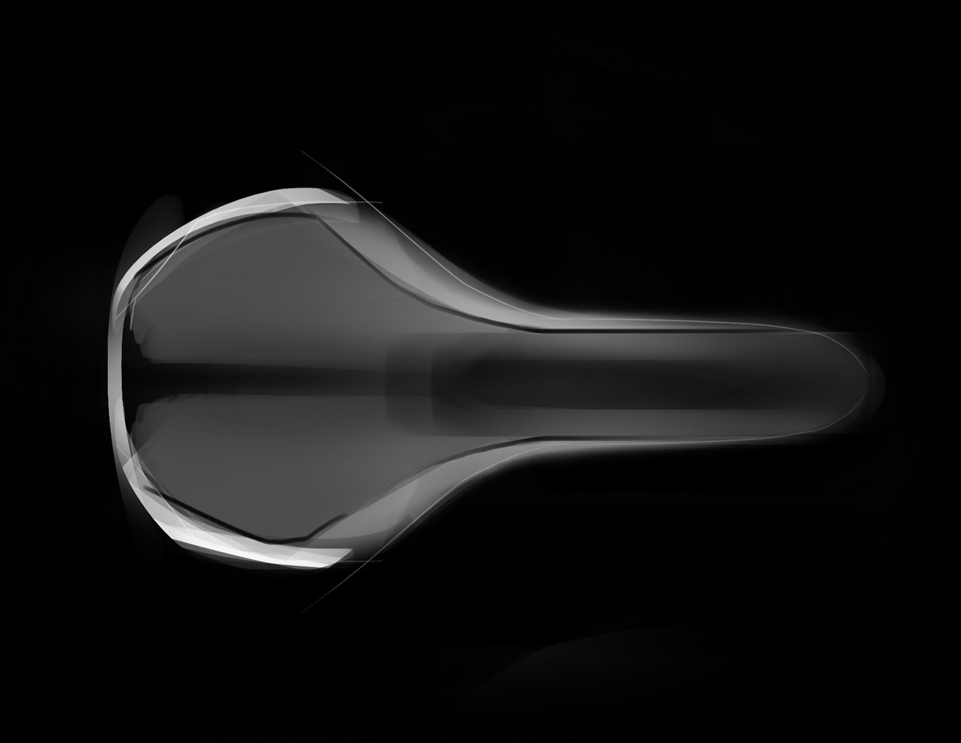 Fi'zi:k，Saddle，female sex，Italy，