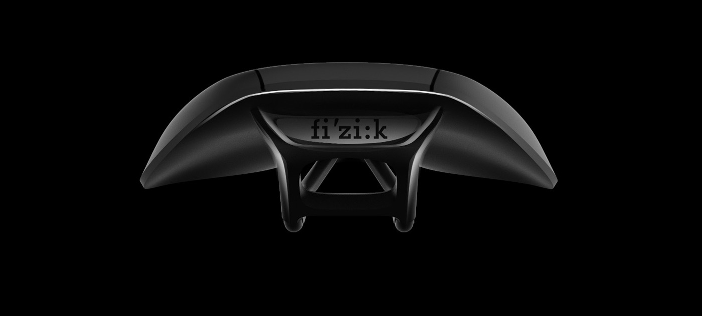 Fi'zi:k，Saddle，female sex，Italy，