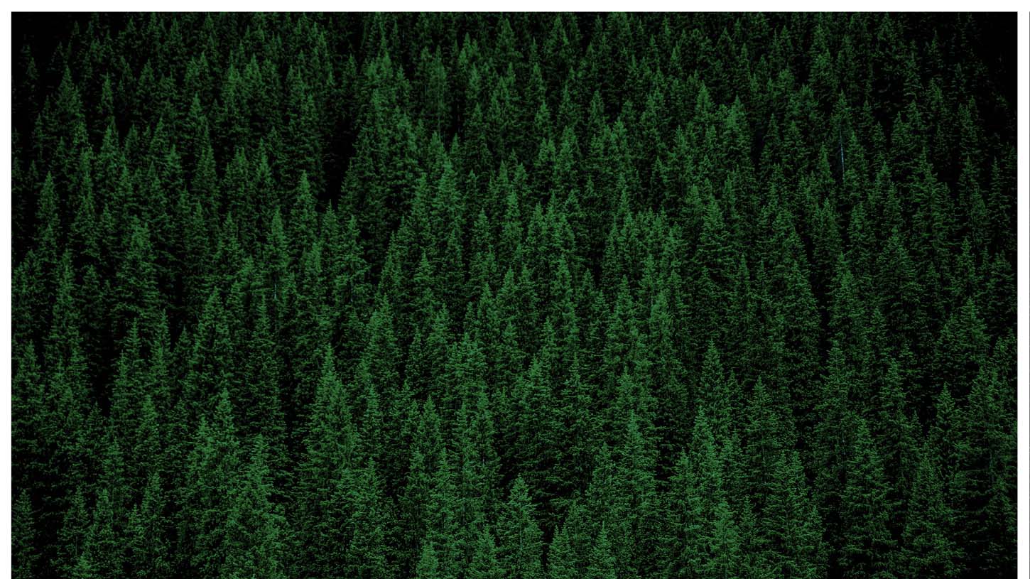 millet，air cleaner，vehicle，Portable，smog，