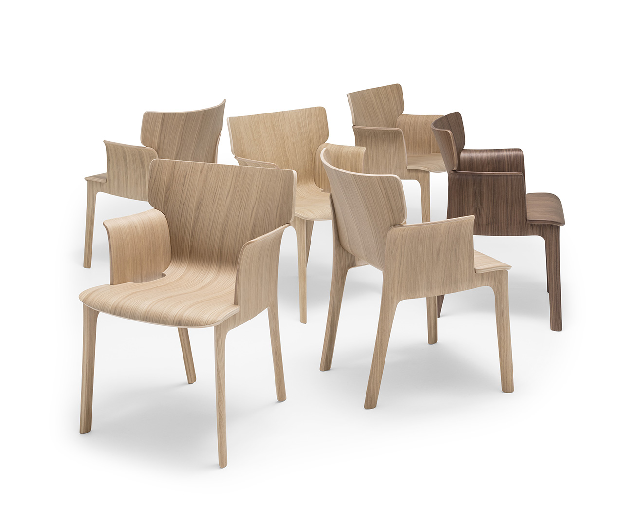 furniture，chair，sustainable，Andreu World，Philippe Starck，woodiness，