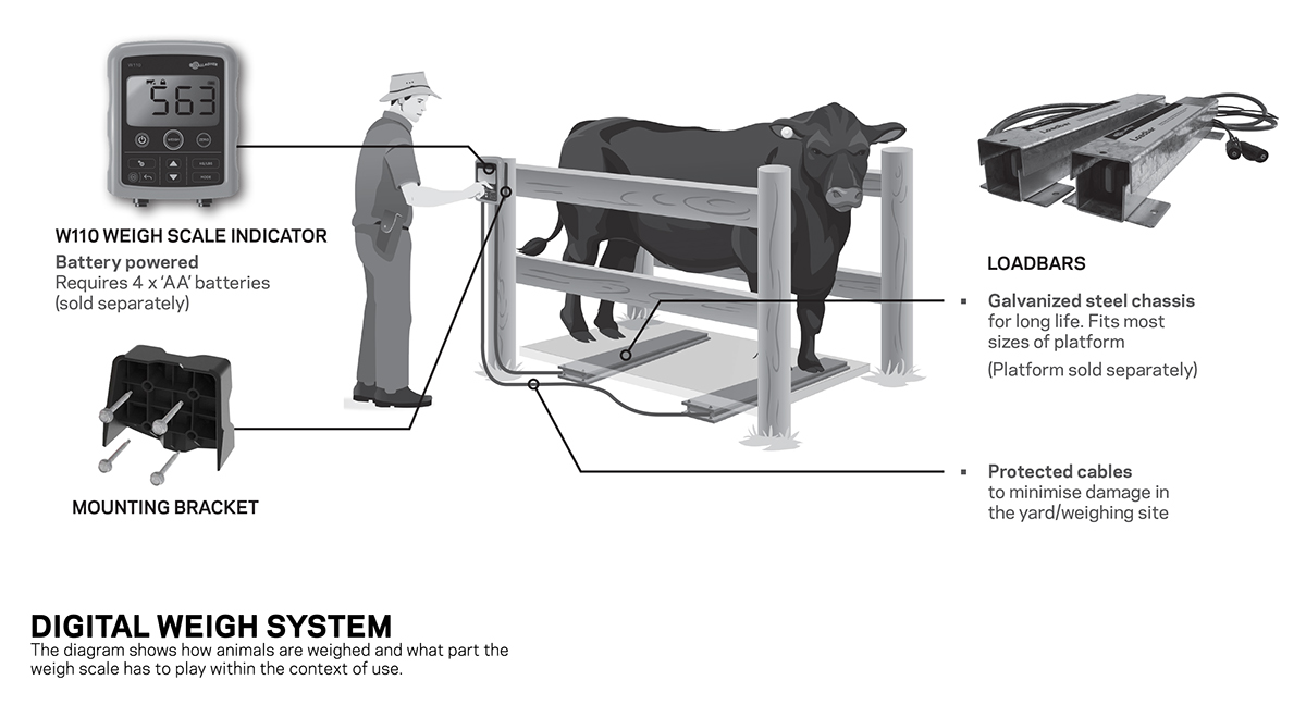 tool，weigh，livestock，intelligence，