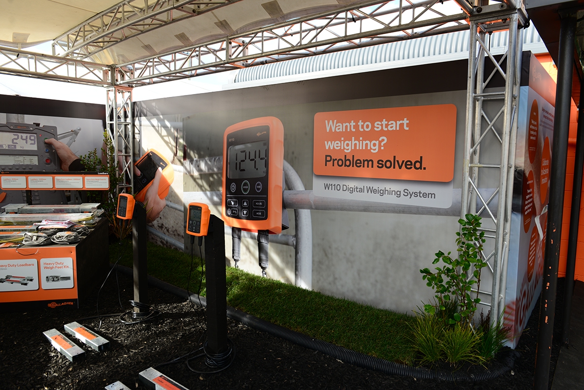 tool，weigh，livestock，intelligence，