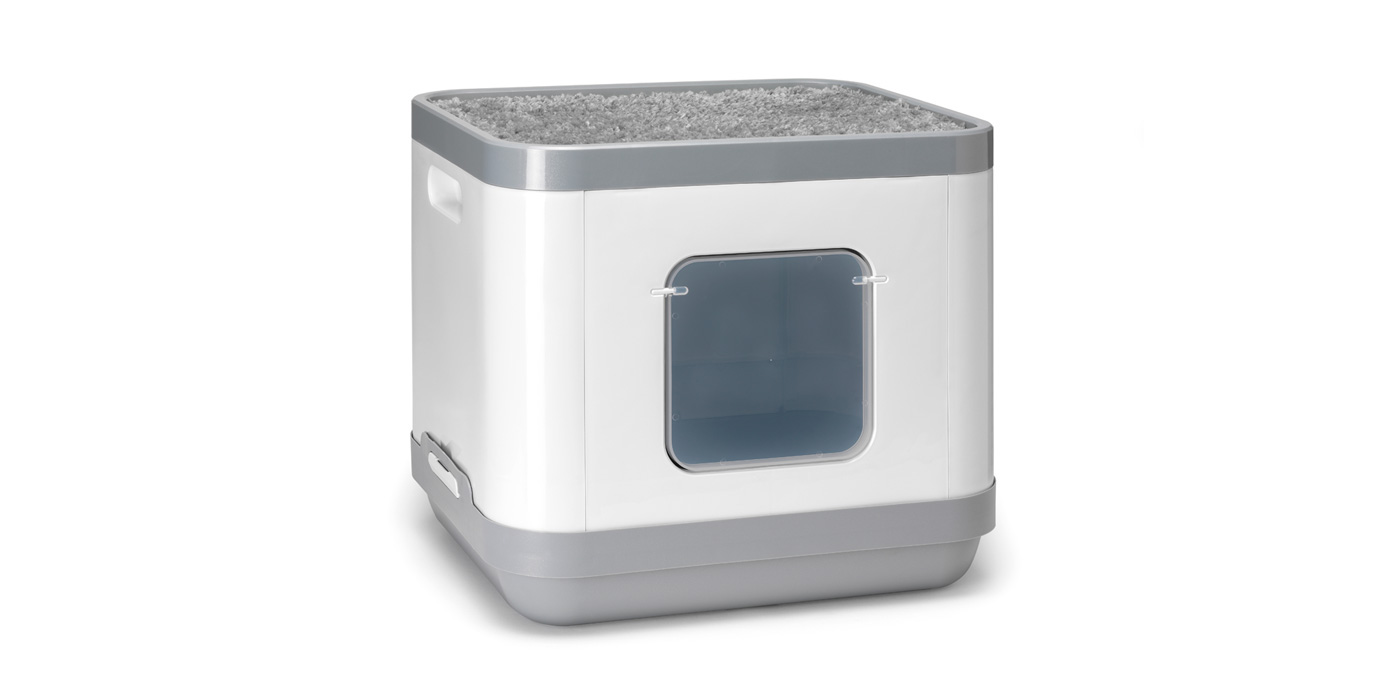 cat，concept，nest，play，