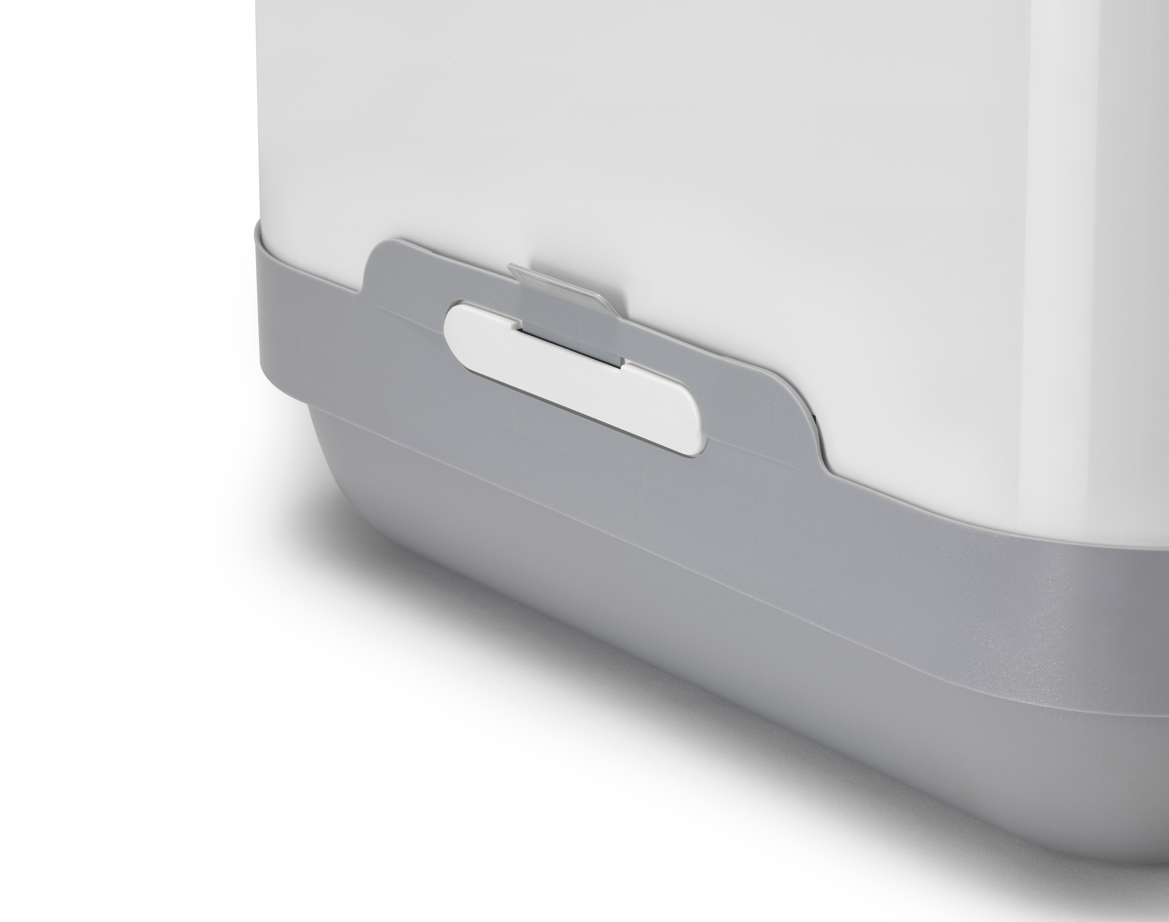 cat，concept，nest，play，