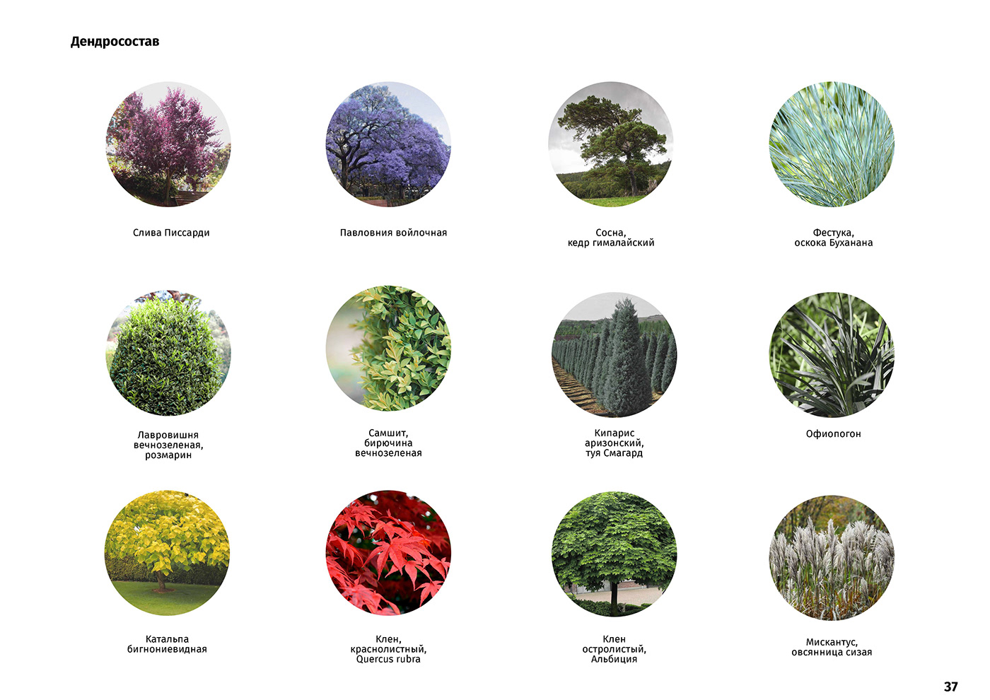 Architecture，Landscape architecture，urban space ，garden，