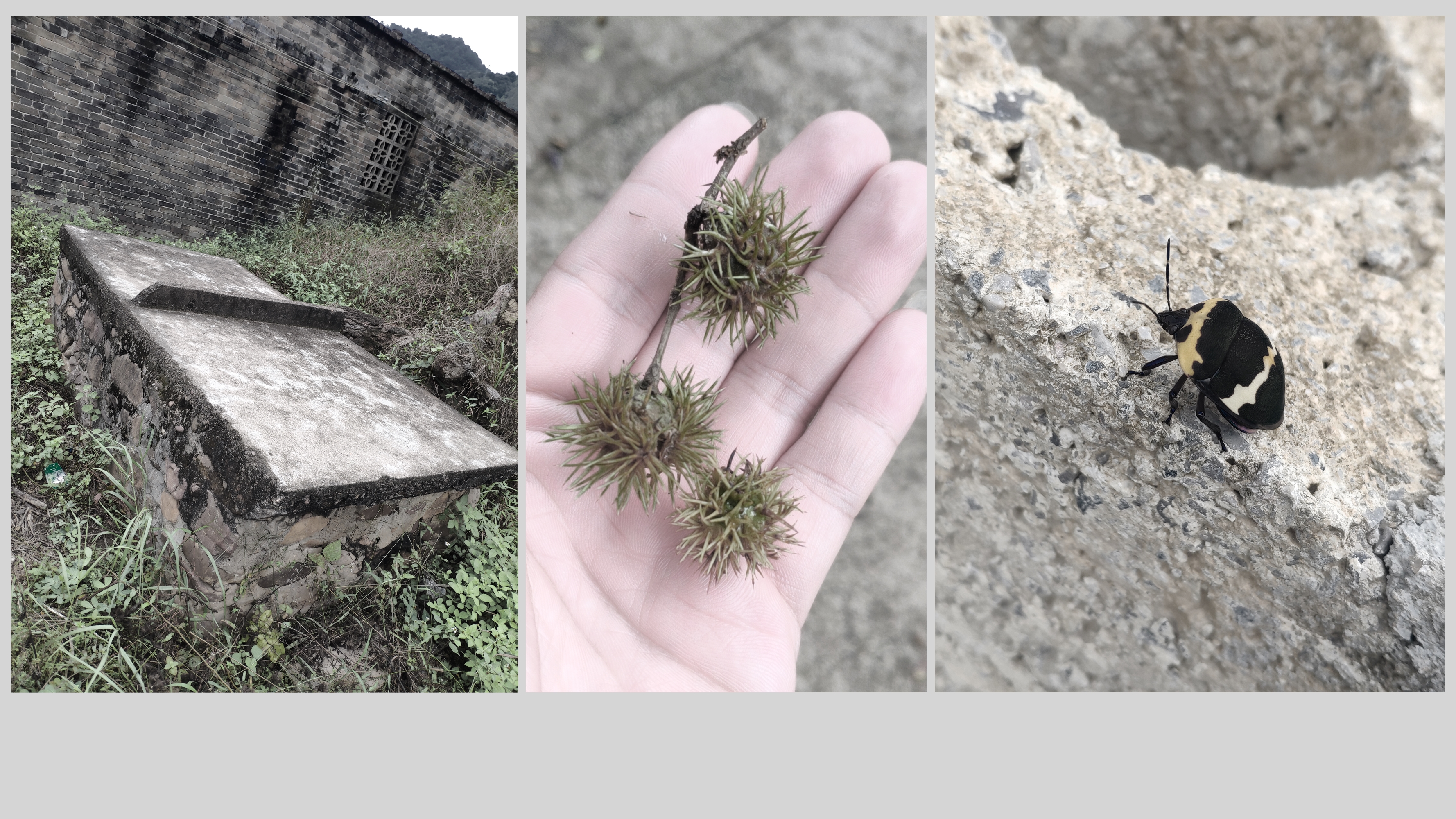 product design，Customized design，Brand design，Home appliance design，