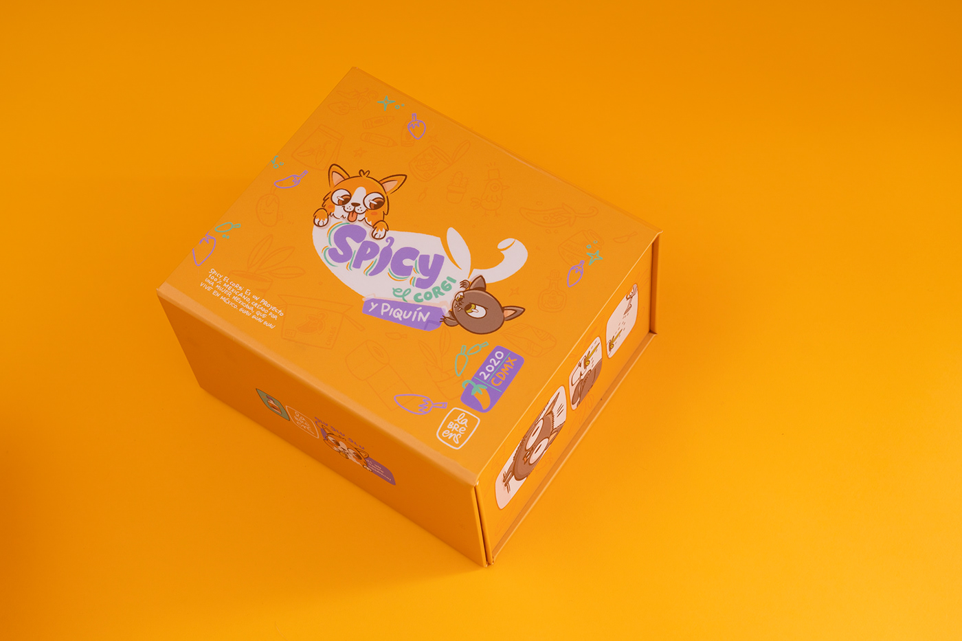 Spicy el Corgi，doll，Animated characters，product design，