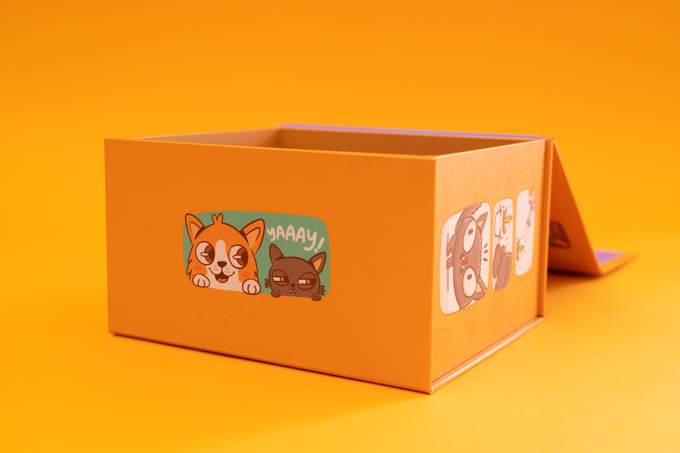 Spicy el Corgi，doll，Animated characters，product design，