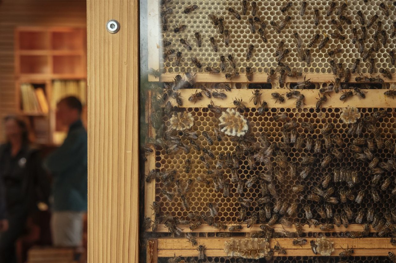 Architectural design，woodiness，modern，