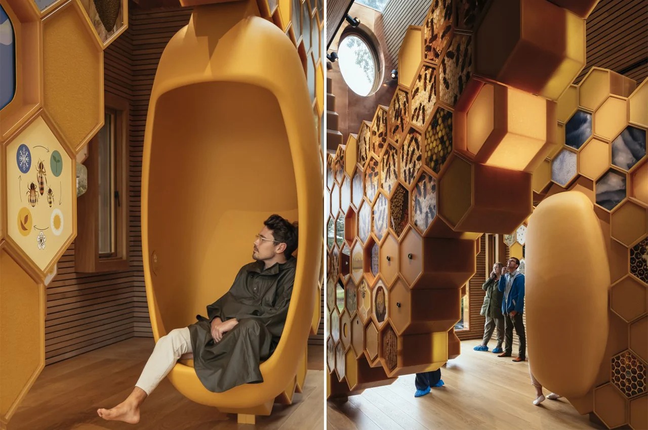 Architectural design，woodiness，modern，