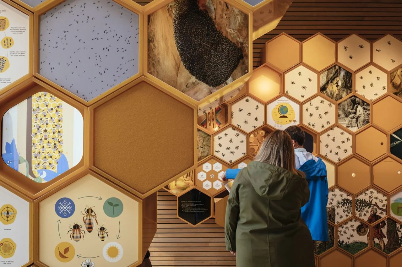 Architectural design，woodiness，modern，