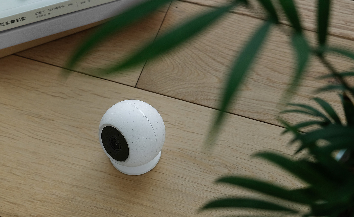 Smart camera，