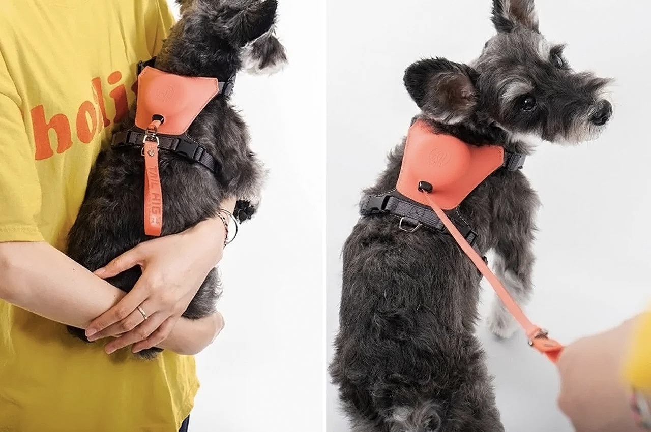 Pet Supplies & Pet，dog，Pets，clean，