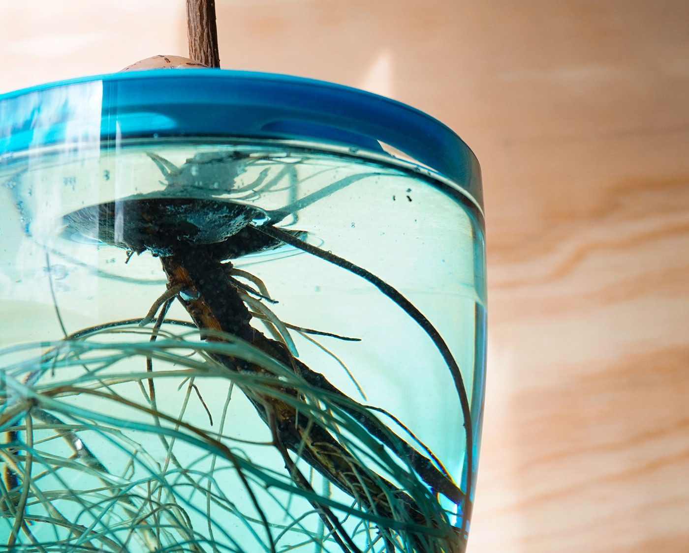 product design，Palto，Hydroponic pot，