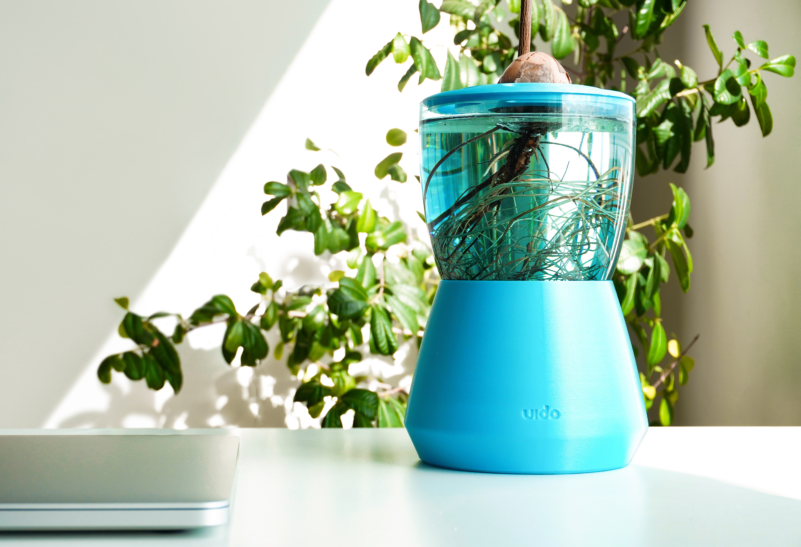 product design，Palto，Hydroponic pot，