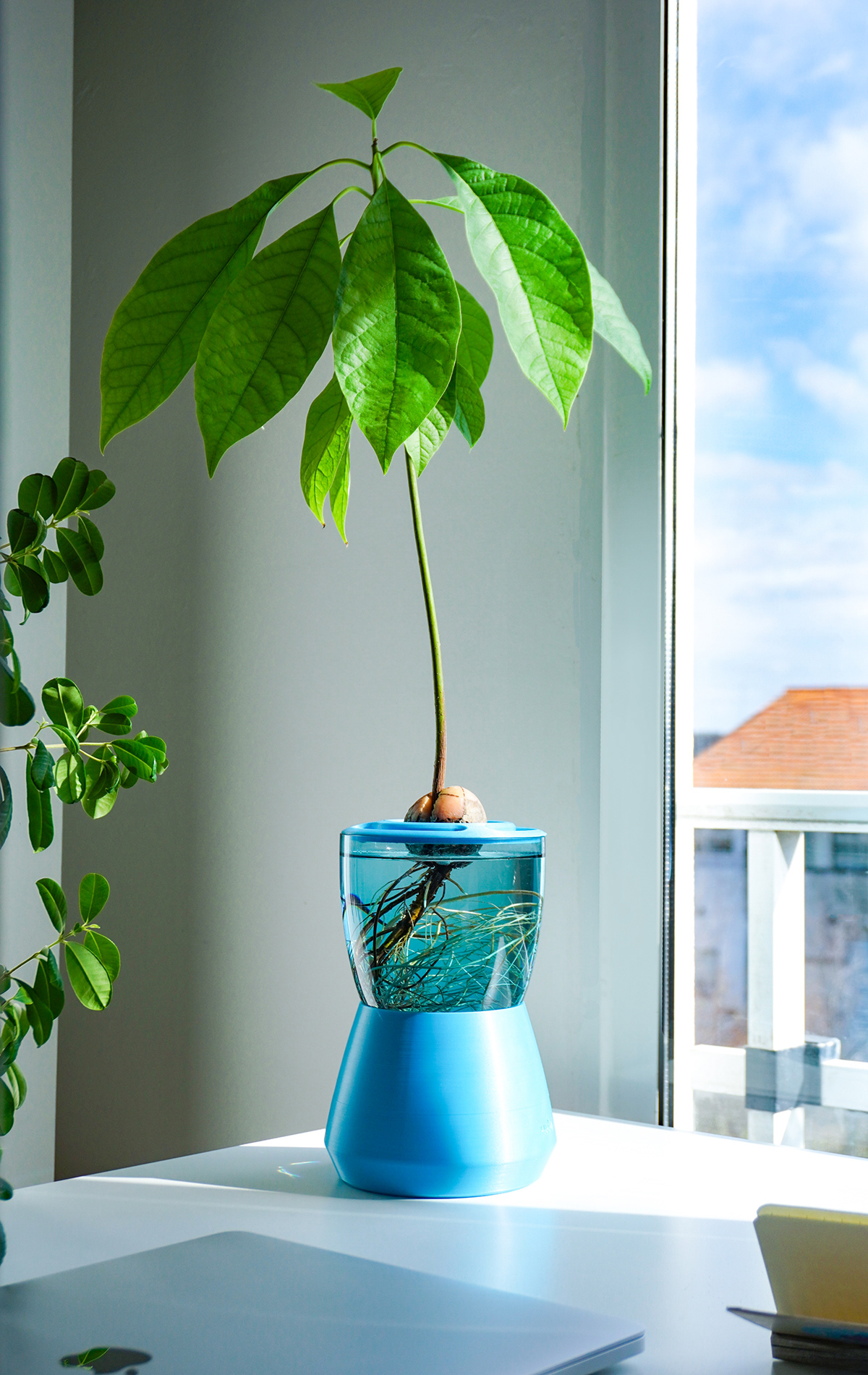 product design，Palto，Hydroponic pot，