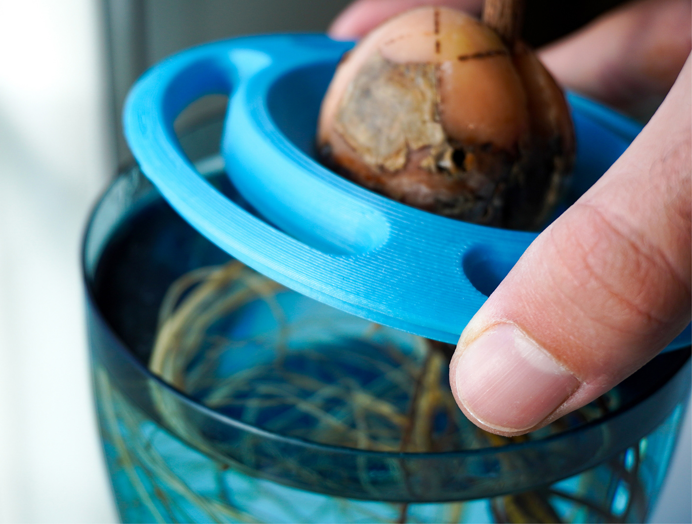 product design，Palto，Hydroponic pot，