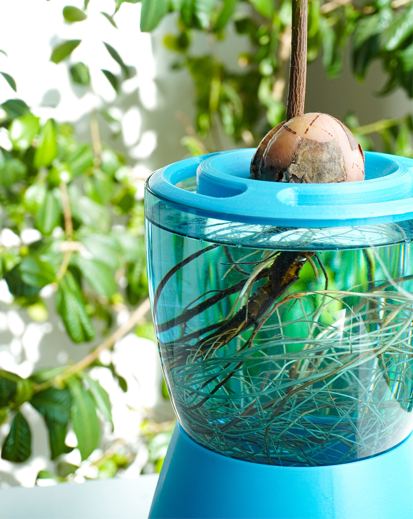 product design，Palto，Hydroponic pot，