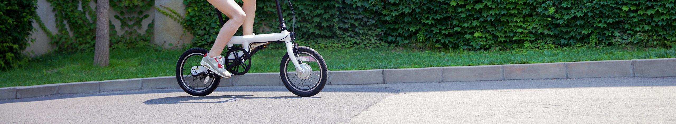 Bicycle，automobile，Electric vehicle，Travel，Substitute for transportation，