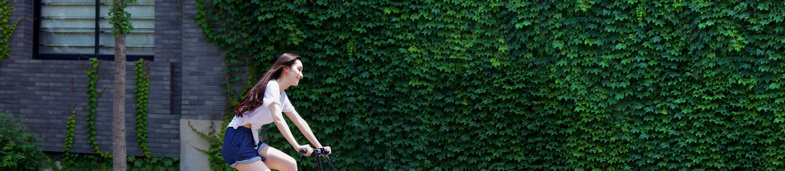 Bicycle，automobile，Electric vehicle，Travel，Substitute for transportation，