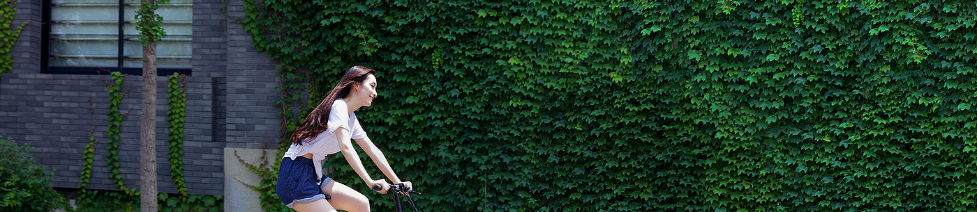 Bicycle，automobile，Electric vehicle，Travel，Substitute for transportation，